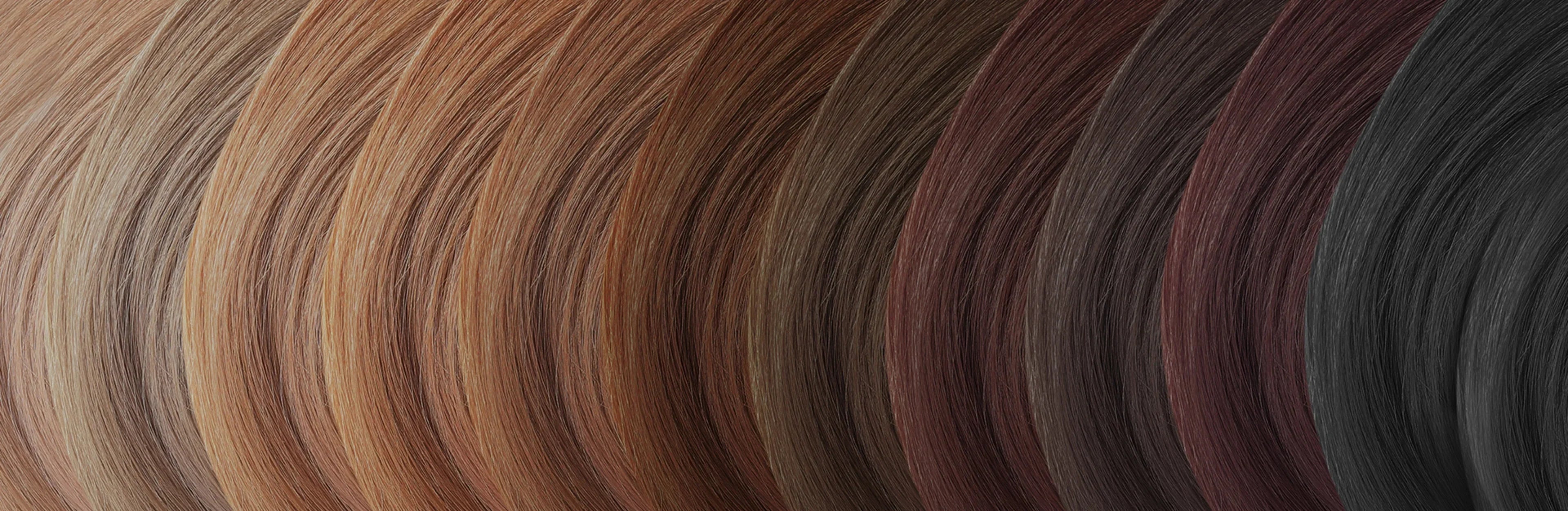 Colorazione