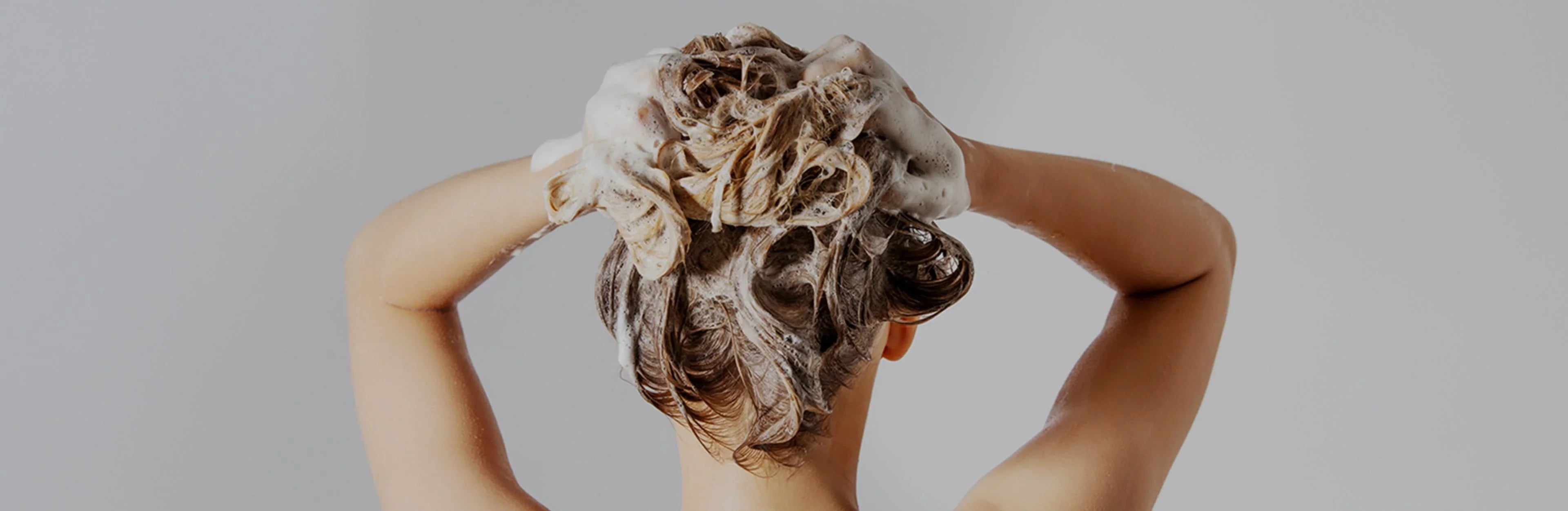 Shampoo