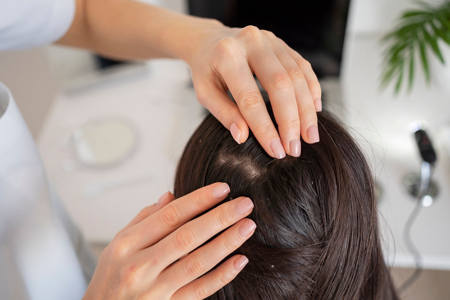 shampoo antiforfora