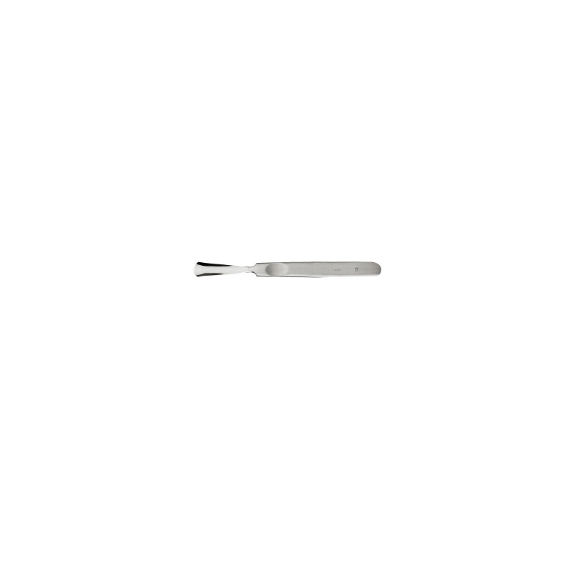 Sgorbia professionale inox 8001 n. 12 Wictor
