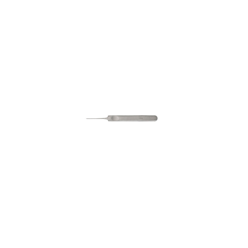 Sgorbia professionale inox 8001 n. 1 Wictor